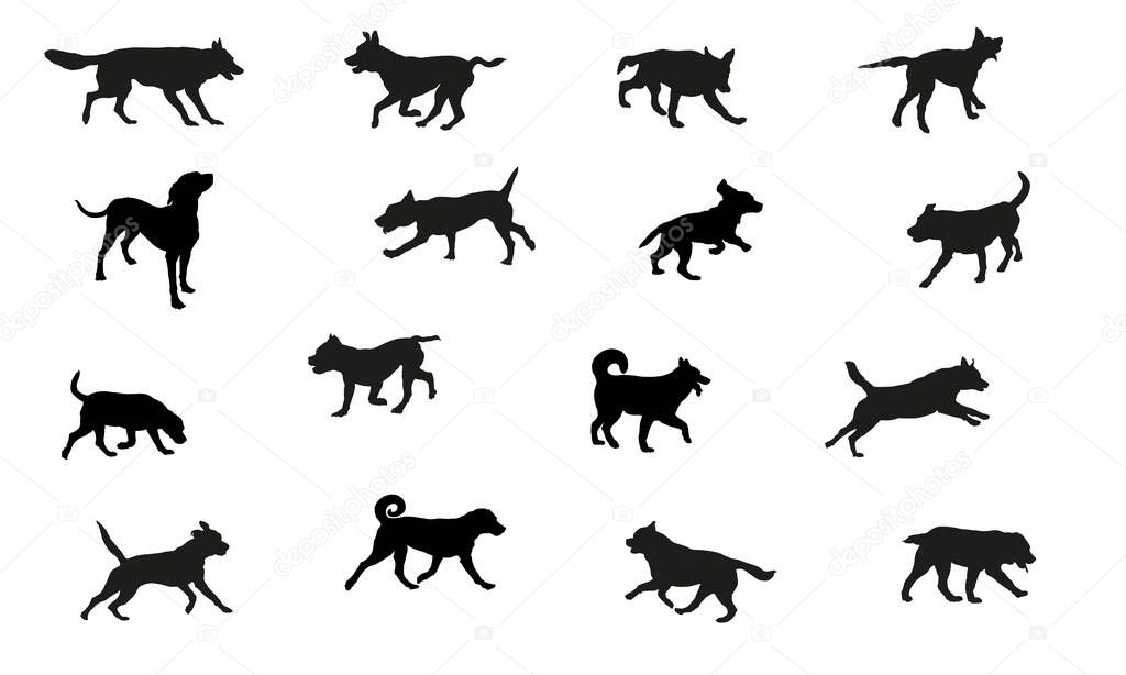 Group of dogs various breed. Black dog silhouette. Running, standing, walking, jumping dogs. Isolated on a white background. Pet animals. Vector illustration.