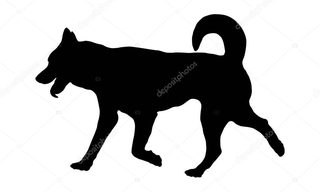Running siberian husky puppy. Black dog silhouette. Pet animals. Isolated on a white background. Vector illustration.