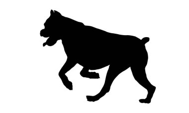 Siyah köpek silueti. Alman boksör köpeği gibi koşup zıplıyorum. Evcil hayvanlar. Beyaz bir arka planda izole edilmiş. Vektör illüstrasyonu.