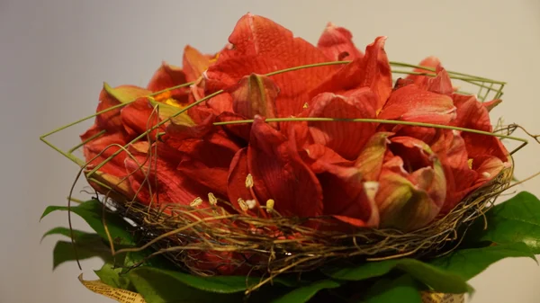 Detalles del ramo de flores rojas — Foto de Stock