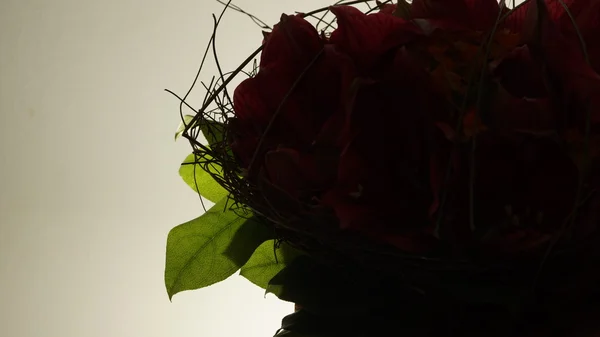 Detalles del ramo de flores rojas — Foto de Stock