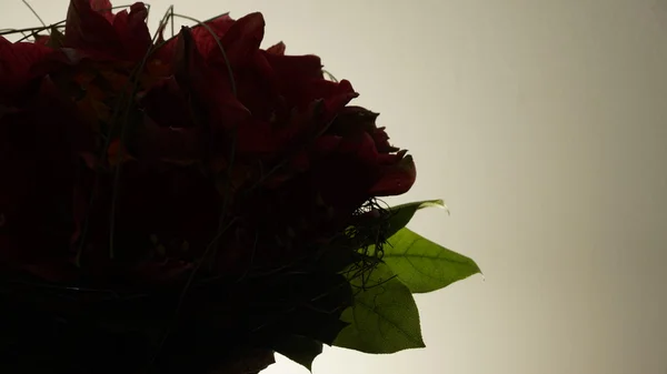 Detalles del ramo de flores rojas — Foto de Stock