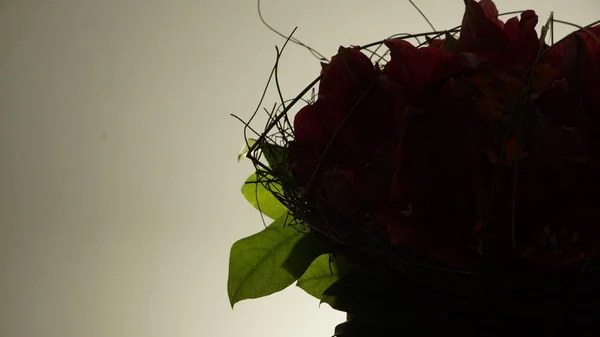 Szczegóły bukiet czerwony kwiat — Zdjęcie stockowe