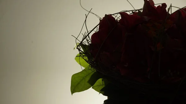 Detalles del ramo de flores rojas — Foto de Stock