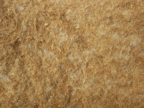 Lots of raw flax fibers, felt made from natural linen fibre and safe to handle, for use as insulation in residential and other homes, material inhibits mold or mildew formation, close-up background