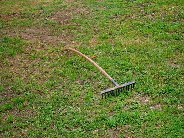 Old Vintage Rusty Metal Rake Wooden Handle Ground Green Grass — Foto de Stock