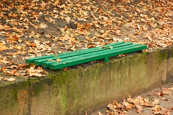 Green wooden bench among autumn leaves — Stock Photo, Image