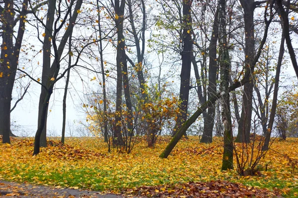 Парк осенью в туманную погоду — стоковое фото