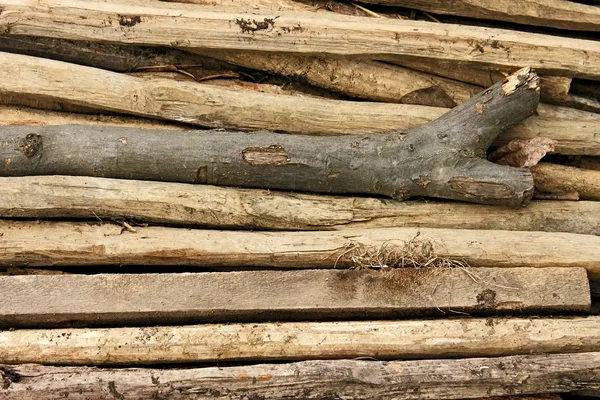 Pilha de varas finas de madeira — Fotografia de Stock