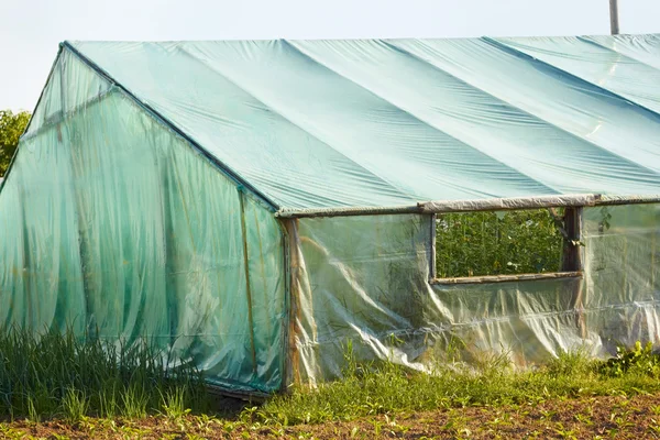 Part of film wooden greenhouse — Stock Photo, Image