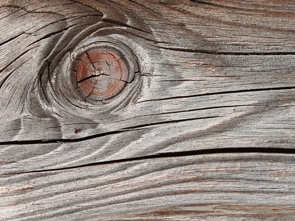 Vieille planche en bois avec anneaux annuels — Photo
