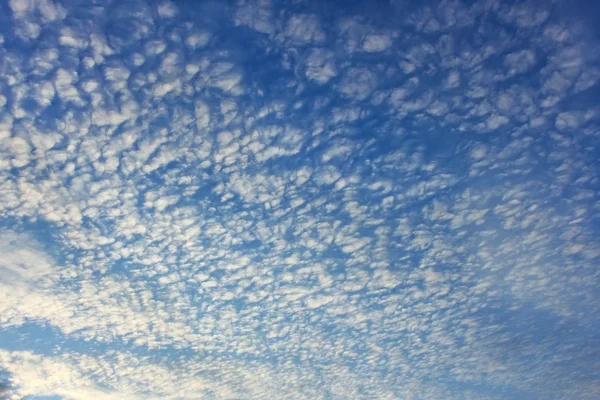 Nuvens de altocumulus no céu inteiro — Fotografia de Stock