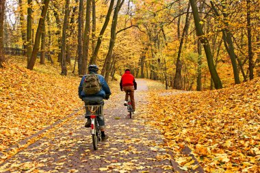 Bicyclists parkta düşen sezonunda binmek.