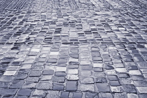 Road with wet cobblestones in rainy weather — Stock Photo, Image