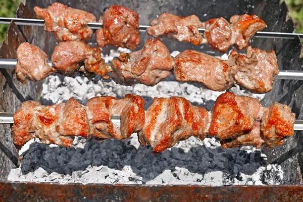 Shish kebab sur des brochettes encore — Photo