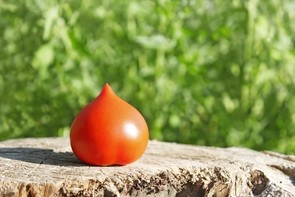 Tomate en la superficie del tocón viejo — Foto de Stock