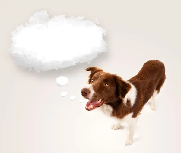 Cute pies z pustą bańką chmury — Zdjęcie stockowe