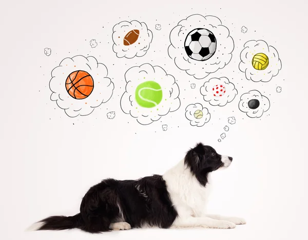 Cão bonito com bolas em bolhas de pensamento — Fotografia de Stock