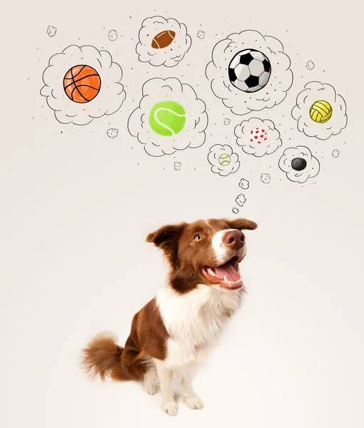 Cute dog with balls in thought bubbles — Stock Photo, Image