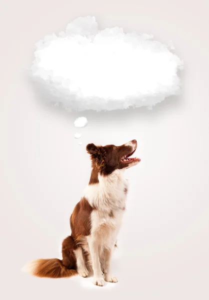 Cute dog with empty cloud bubble — Stock Photo, Image