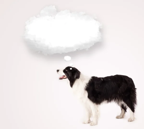 Leuke hond met lege wolkenzeepbel — Stockfoto