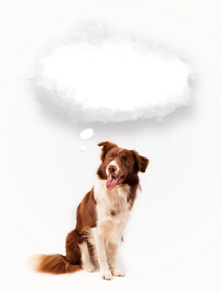 Cute dog with empty cloud bubble — Stock Photo, Image