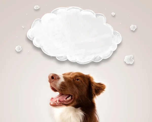 Niedlicher Border Collie mit leeren Wolken — Stockfoto