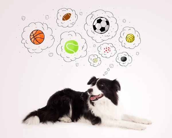 Cute dog with balls in thought bubbles — Stock Photo, Image