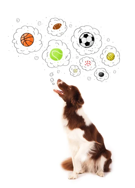 Cute dog with balls in thought bubbles — Stock Photo, Image