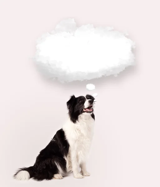 Chien mignon avec bulle nuage vide — Photo