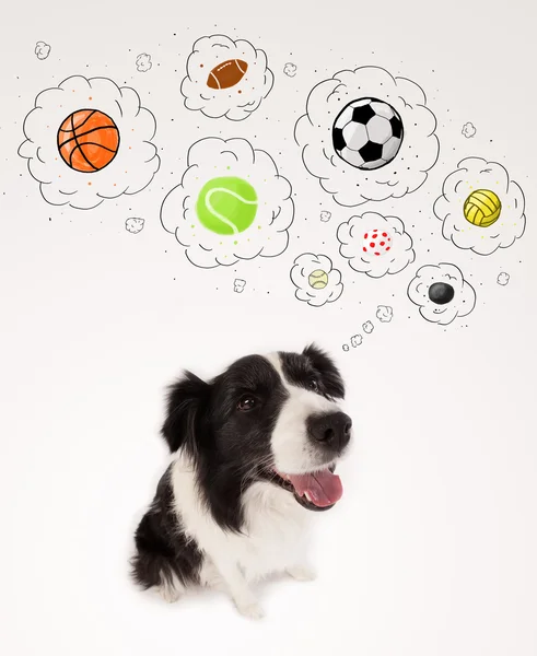 Cute dog with balls in thought bubbles — Stock Photo, Image