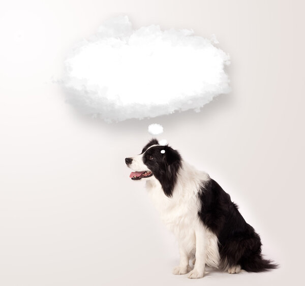 Cute dog with empty cloud bubble