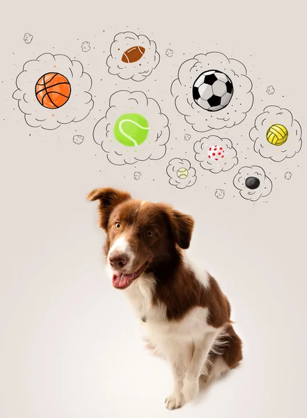 Lindo perro con bolas en burbujas de pensamiento — Foto de Stock