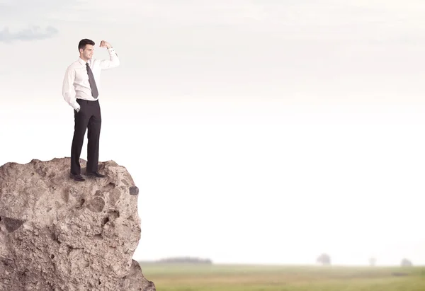 Happy salesman on cliff in the country — Stock Photo, Image