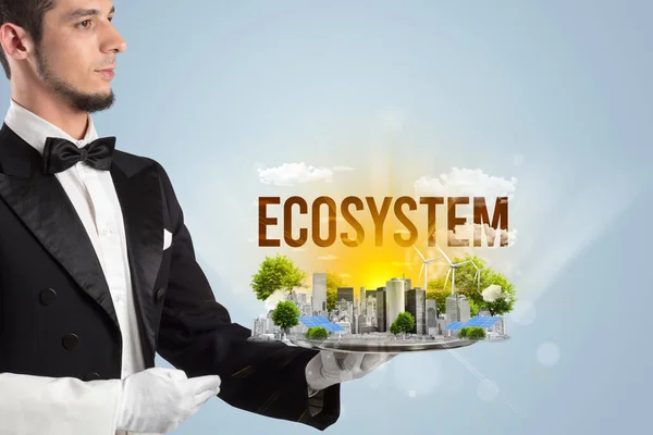 Waiter serving eco cityscape concept — Stock Fotó