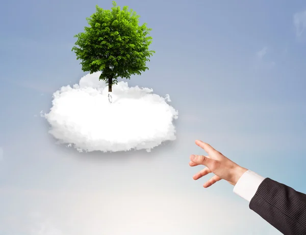 Hand pointing at a green tree on top of a white cloud — Stock Photo, Image