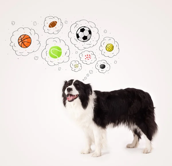 Lindo perro con bolas en burbujas de pensamiento — Foto de Stock