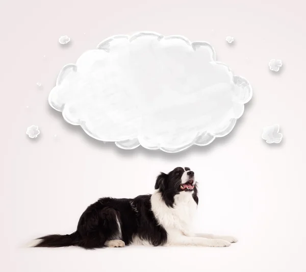 Niedlicher Border Collie mit leeren Wolken — Stockfoto