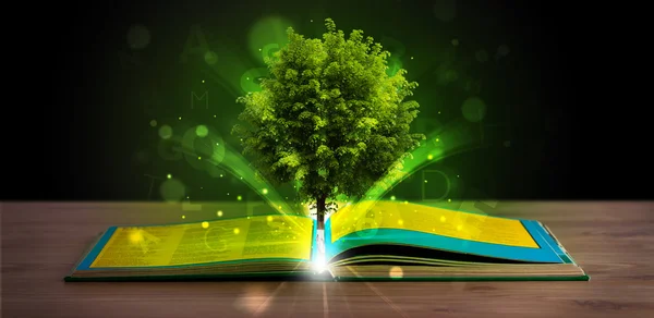 Open book with magical green tree and rays of light — Stock Photo, Image