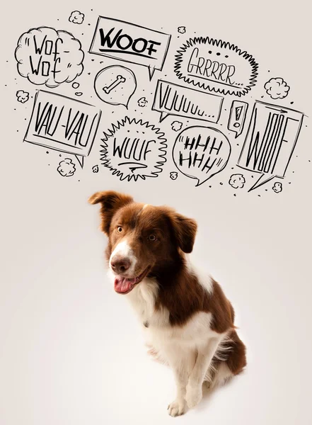 Cute dog with barking bubbles — Stock Photo, Image