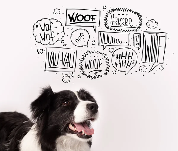 Lindo perro con burbujas ladrando — Foto de Stock