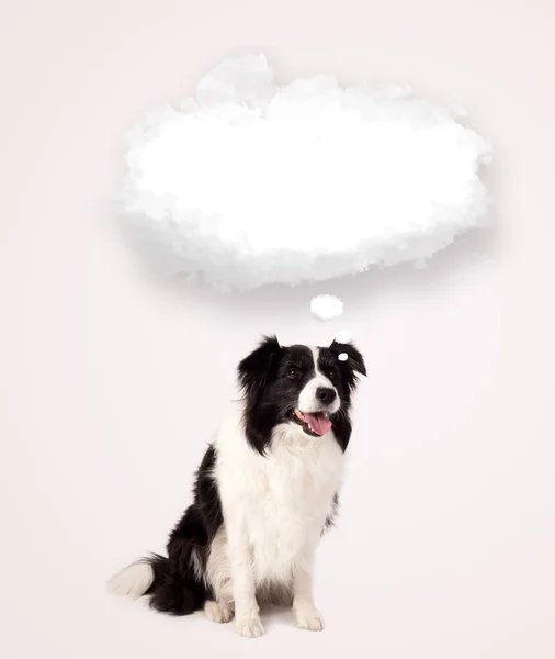 Leuke hond met lege wolkenzeepbel — Stockfoto