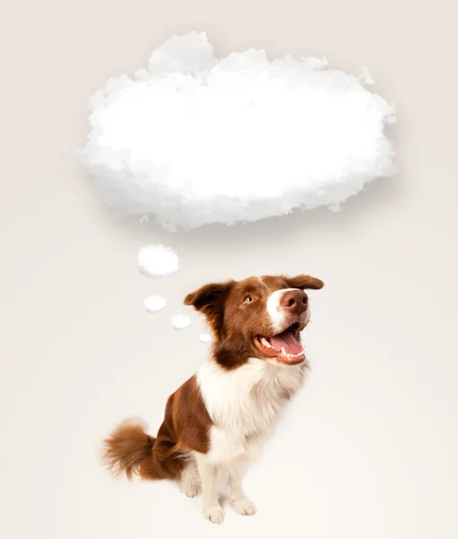 Cute dog with empty cloud bubble — Stock Photo, Image