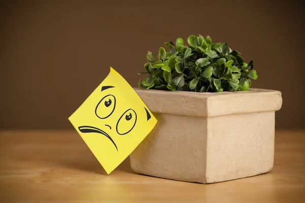 Post-it note avec le visage souriant collé sur le pot de fleurs — Photo