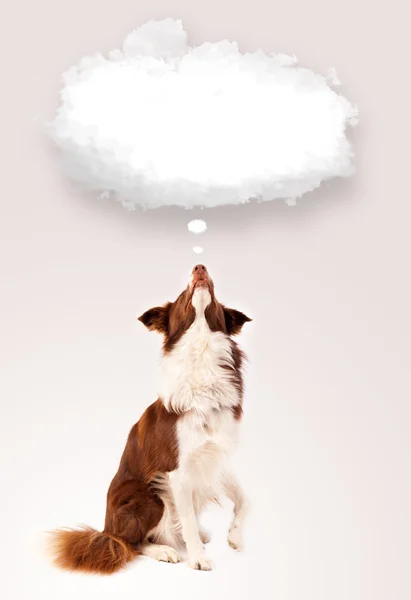 Roztomilý pes s prázdnou bublinou mraků — Stock fotografie