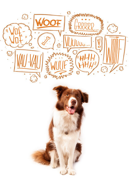 Милая собака с лающими пузырьками