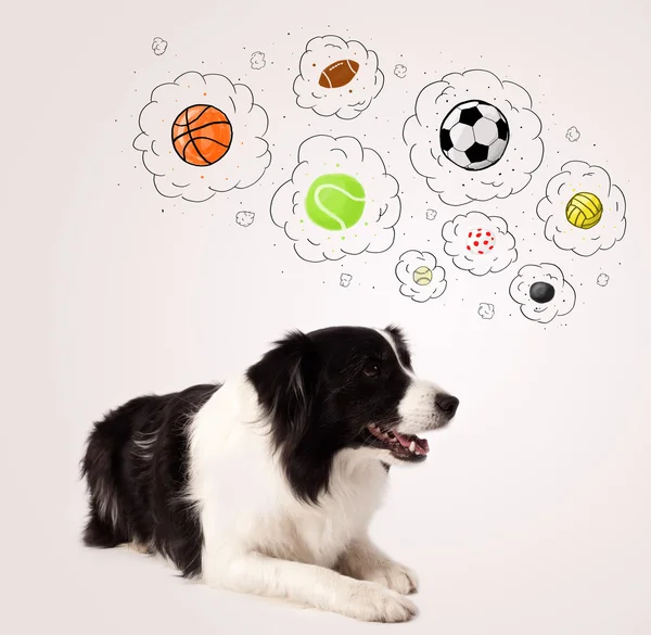 Lindo perro con bolas en burbujas de pensamiento — Foto de Stock