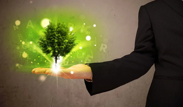 Glowing tree growing in the hand of a businessman — Stock Photo, Image