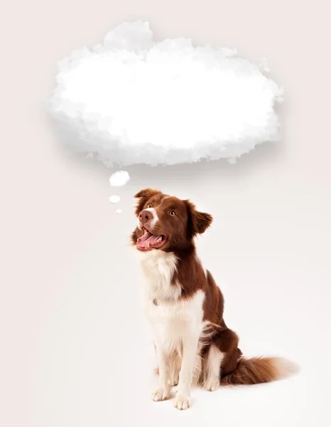 Cute dog with empty cloud bubble — Stock Photo, Image