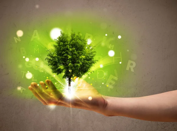 Glowing tree growing in the hand of a businessman — Stock Photo, Image